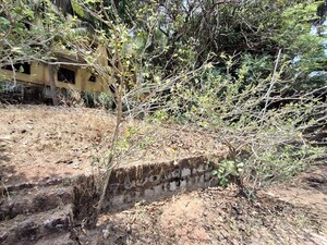 Plot Area in  Land at Beluvai – for Sale
