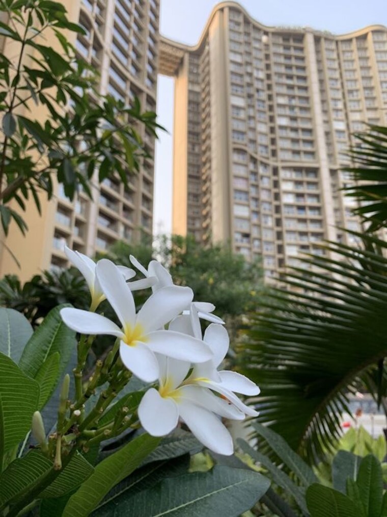 Exterior View, runwal-elegante 3 Bedroom 1350 Sq.Ft. Apartment In Andheri West Mumbai 10748326