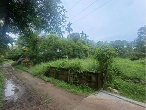  Land For Sale in Evergreen Nagar