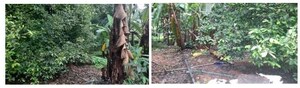  Land – Exterior View View at Ernakulam - for Sale