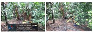  Land – Exterior View View at Ernakulam - for Sale