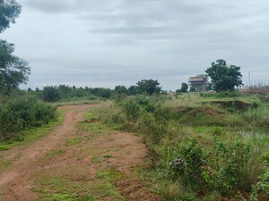 Plot Area in  Land at Maltipatpur – for Sale