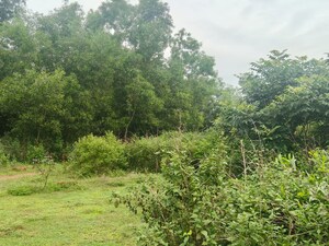  Land – Garden View at Maltipatpur - for Sale