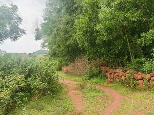  Land – Garden View at Maltipatpur - for Sale