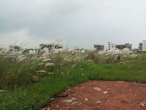 Plot Area in  Land at Ebaranga – for Sale