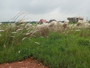 Plot Area in  Land at Ebaranga – for Sale