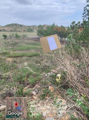 Plot Area in  Land at Piglipur – for Sale