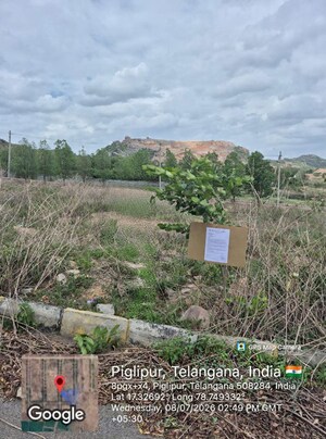 Plot Area in  Land at Piglipur – for Sale