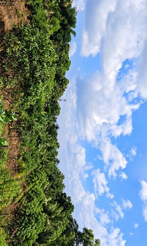  Land – Exterior View View at West Yakkara - for Sale
