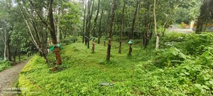  Land For Sale in Kolottimoola