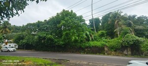  Land For Sale in Kolottimoola