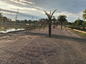 Plot Area in  Plot at Sultanpur – for Sale