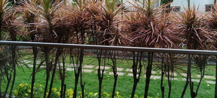 Balcony, sri-fortune-one 3 Bedroom 4000 Sq.Ft. Apartment In Banjara Hills Hyderabad 10748777