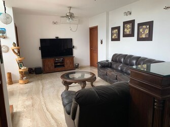 3 BHK +Penthouse For Rent in Marvel Enigma in Kharadi, Pune