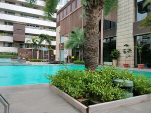 Swimming Pool in 5 BHK Apartment at Salcon The Verandas, Sector 54 – for Rent
