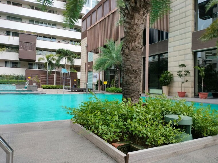Swimming Pool, salcon-the-verandas 5 Bedroom 5330 Sq.Ft. Apartment In Sector 54 Gurgaon 10749051