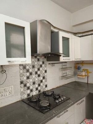 Kitchen in 3 BHK Apartment at Tulip White, Sector 69 – for Rent