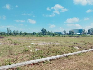  Plot For Sale in Selakui