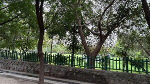 Plot Area in  Plot at Sector 105 – for Sale
