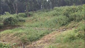 Plot Area in  Land at Khatanga – for Sale