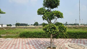  Plot – Garden View at Newstone Coral Park, Sector 84a - for Sale