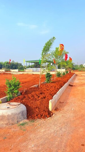  Plot For Rent in Shadnagar