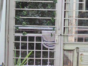 Balcony in 3 BHK Apartment at Supertech Ecociti, Sector 137 – for Rent