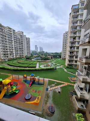 3 BHK Apartment For Rent in Tulip Petals, Sector 89