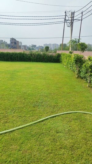  Plot – Garden View at Raj Nagar Extension - for Sale