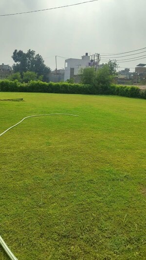  Plot – Garden View at Raj Nagar Extension - for Sale