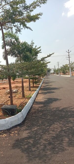 Plot Area in  Plot at Bala Nagar – for Sale