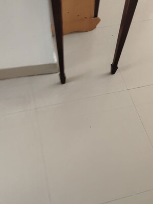 3 BHK Apartment For Rent in Great Value Sharanam, Sector 107
