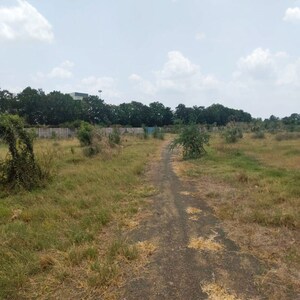Plot Area in  Industrial Plot at Padra – for Sale