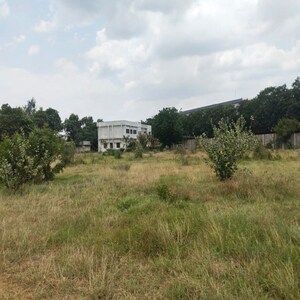 Plot Area in  Industrial Plot at Padra – for Sale