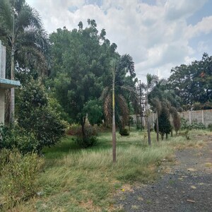 Plot Area in  Industrial Plot at Padra – for Sale