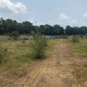 Plot Area in  Industrial Plot at Padra – for Sale