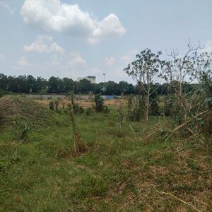 Plot Area in  Industrial Plot at Padra – for Sale