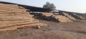  Industrial Plot For Sale in Varshamedi