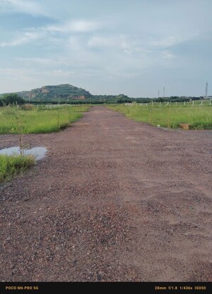 Plot Area in  Plot at Sohna – for Sale