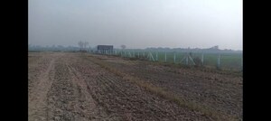 Plot Area in  Plot at Sohna – for Sale