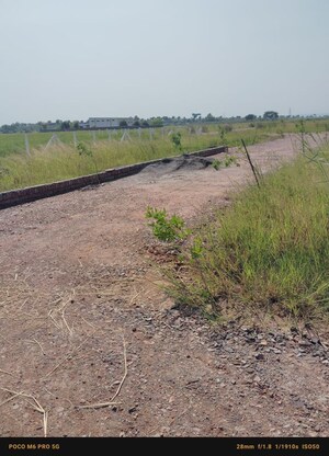 Plot Area in  Plot at Sohna – for Sale