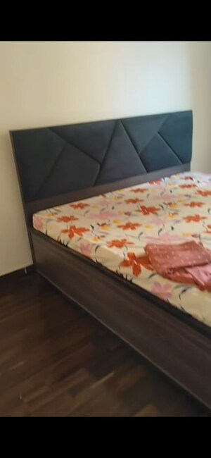 2 BHK Apartment For Rent in Galaxy Green Arcade, Tech Zone 4 Greater Noida