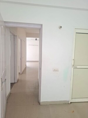 Room in 3 BHK Apartment at Tulip Petals, Sector 89 – for Rent