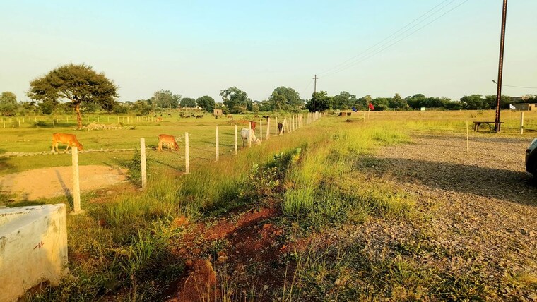 undefined, sejbahar  6000 Sq.Ft. Plot In Sejbahar Raipur 10751285