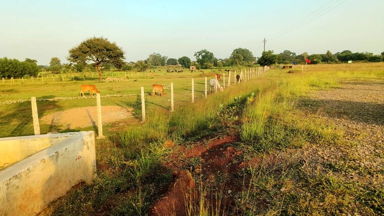 undefined, sejbahar  6000 Sq.Ft. Plot In Sejbahar Raipur 10751285