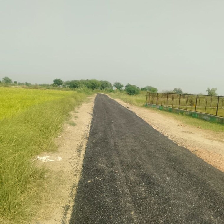 undefined, amolik-aster-woods  108 Sq.Yd. Plot In Sector 98 Faridabad 10751384