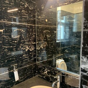 Attached Bathroom in 3 BHK Apartment at Emaar Emerald Floors Premier, Sector 65 – for Rent