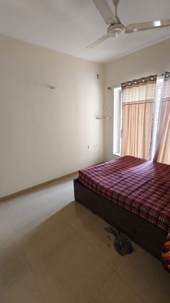 1 BHK +Apartment For Rent in Kalpataru Hills in Manpada, Thane