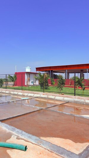  Plot For Sale in Shadnagar