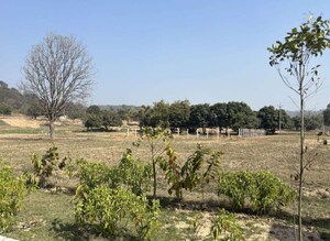 Plot Area in  Plot at Mullanpur – for Sale